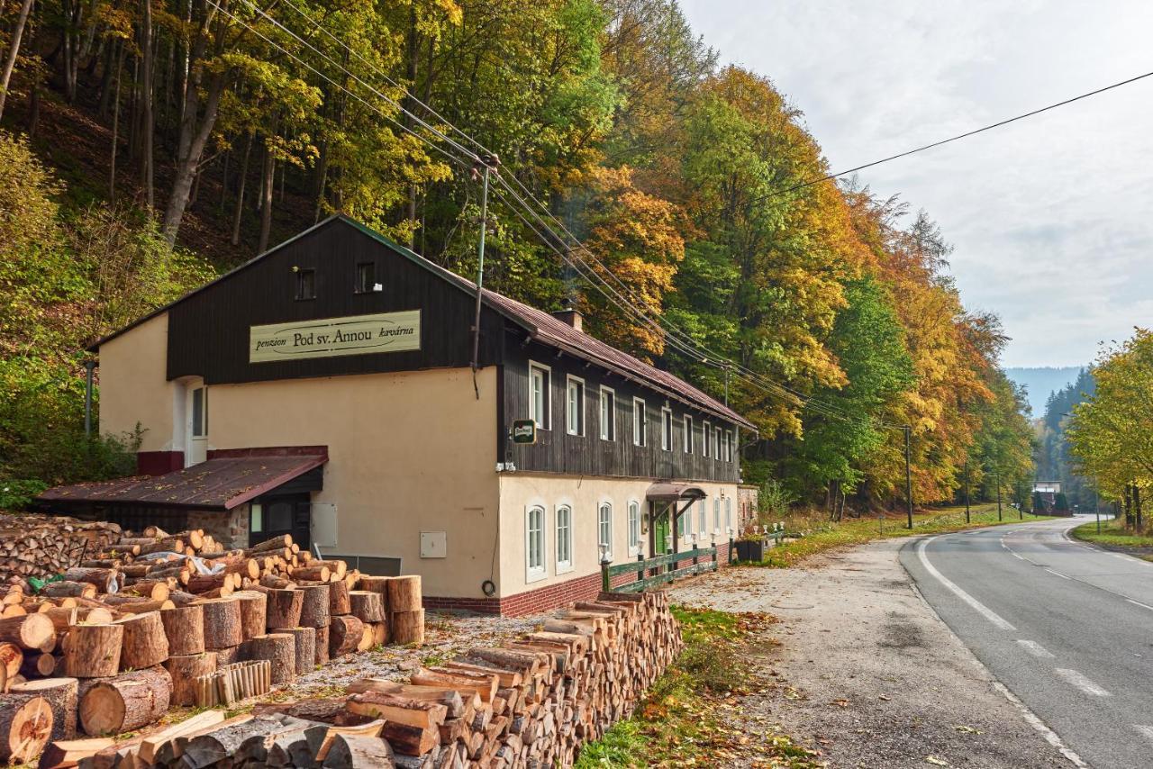 Pod Svatou Annou - Penzion A Rizkovna Horní Maršov Exteriör bild