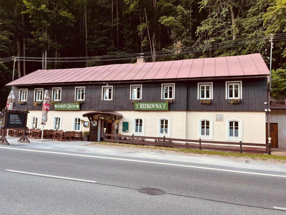 Pod Svatou Annou - Penzion A Rizkovna Horní Maršov Exteriör bild
